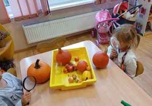 Dziewczynki obserwują dynie oraz inne jesienne owoce za pomocą lupy