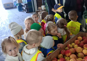 Dzieci stoją przy skrzyni z jabłkami.
