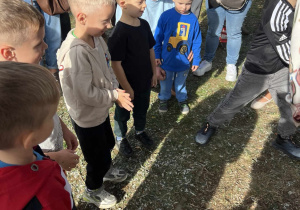 Dzieci i rodzice wspólnie obserwują przebieg ziemniaczanej konkurencji w ogrodzie przedszkola.