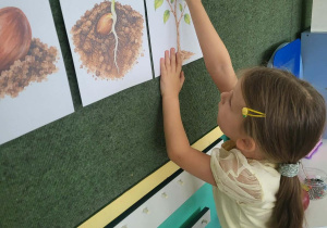 Dzieci przyczepiają części wzrostu na tablicy