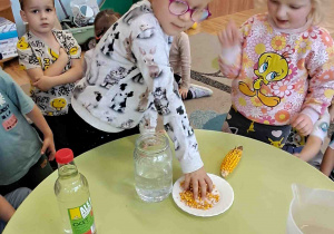 Dziecko wsypuje ziarna kukurydzy do słoika