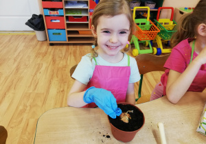 Dziewczynka sadzi do ziemi cebulę