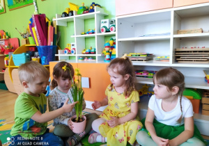 Dzieci oglądają wiosenne kwiatki- żonkile