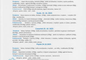 Zdjęcie 1 na 1